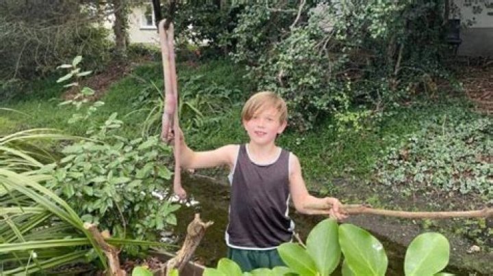 9-Year-Old Boy Finds Three-Foot-Long Worm