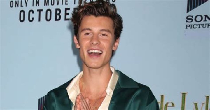 Shawn Mendes’ Net Worth Is Higher Than Camila Cabello’s: How Much Money Does He Make? 