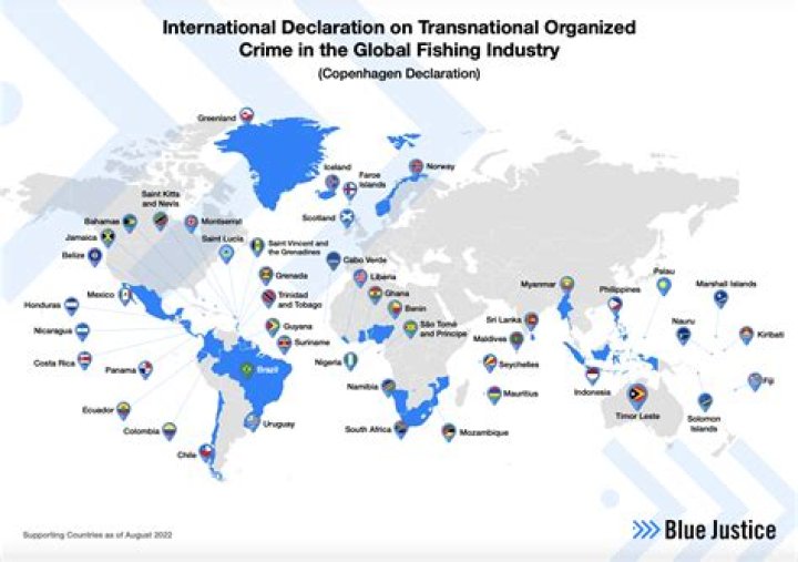 The World's Biggest Crime Organizations