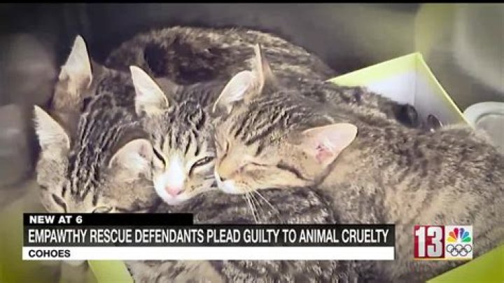 What Happened to Cohoes Couple?